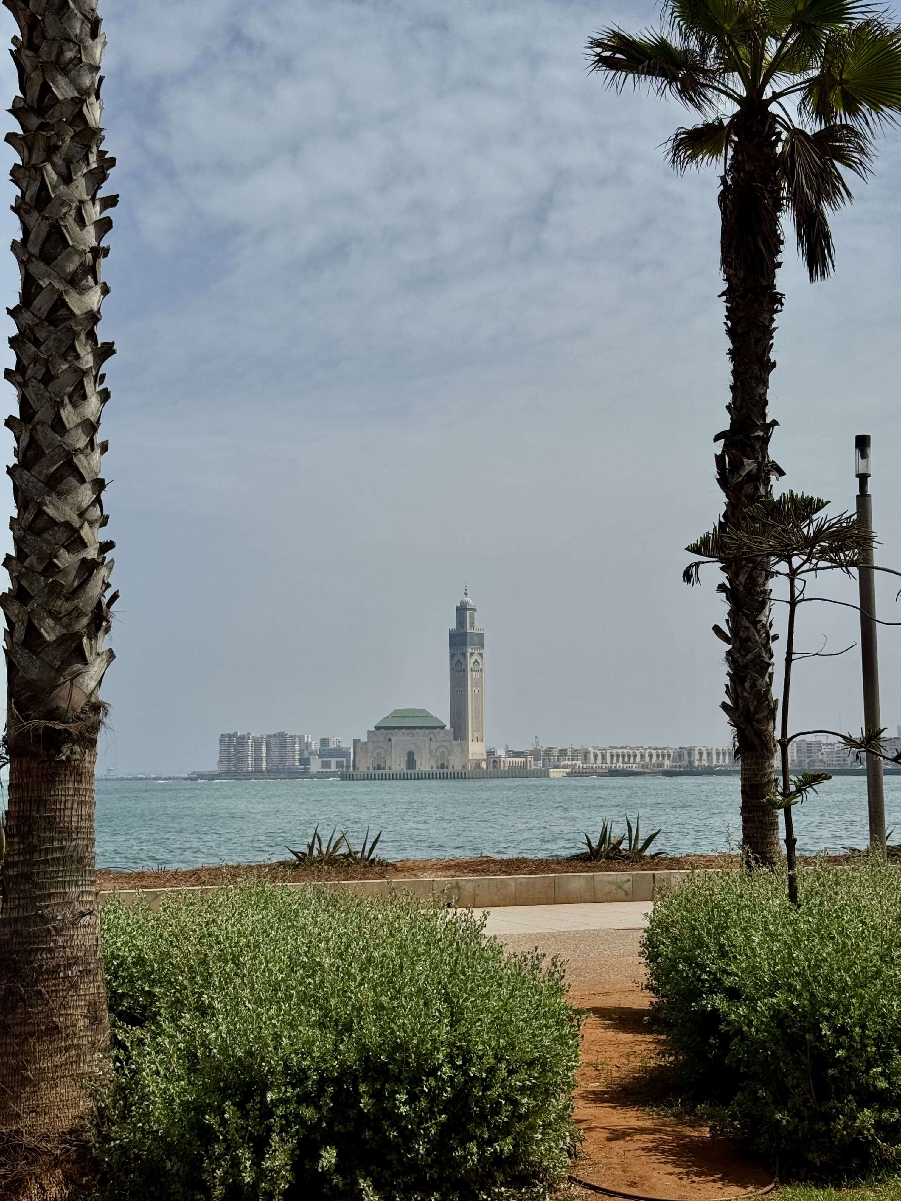Widok turystyczny - Casablanca
