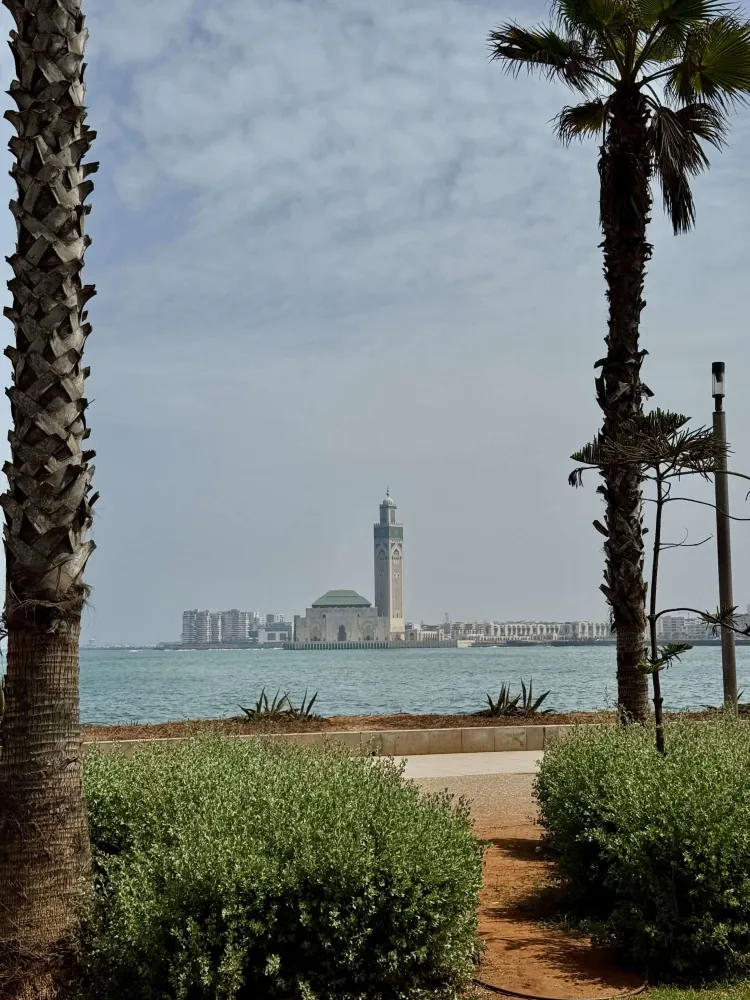 Widok turystyczny - Casablanca